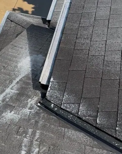 Gutter Cleaning